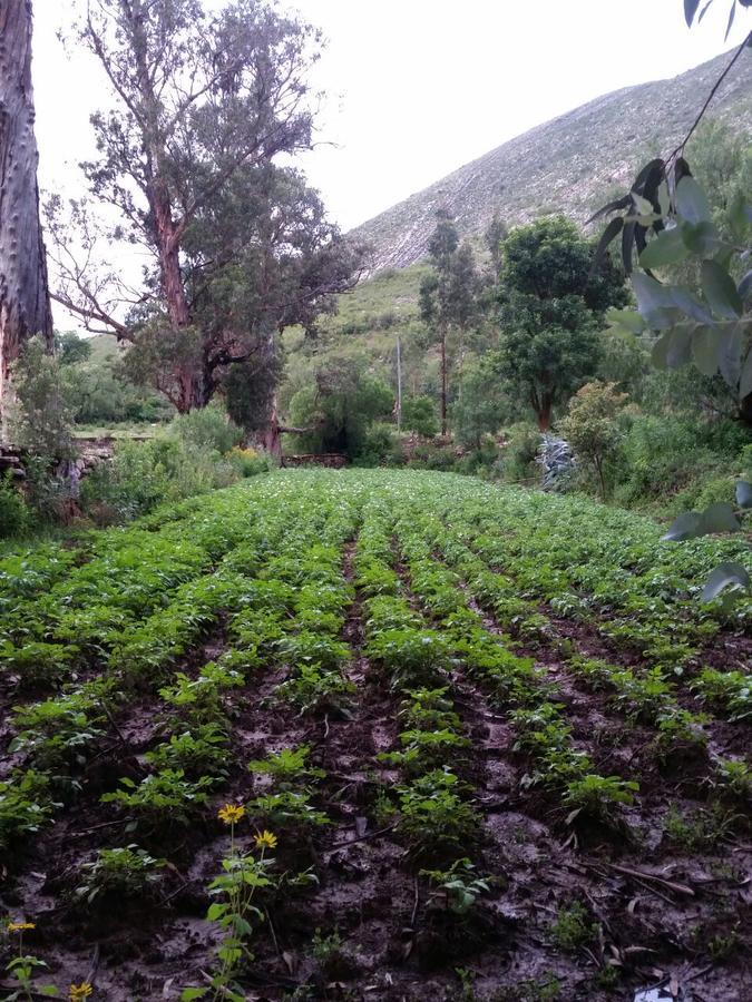 לינה וארוחת בוקר Torotoro El Molino מראה חיצוני תמונה